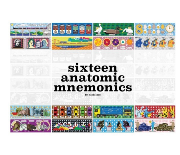 sixteen anatomic mnemonics